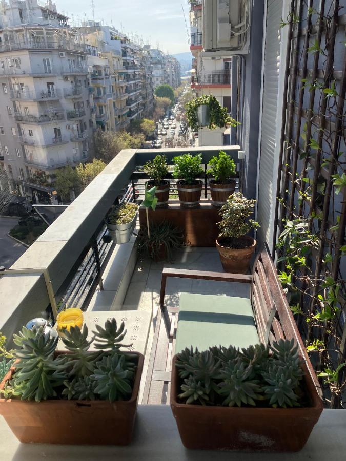 Apartment Super Cute & Cozy Mini In City Center *